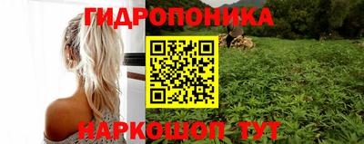 прущая мука Донецк
