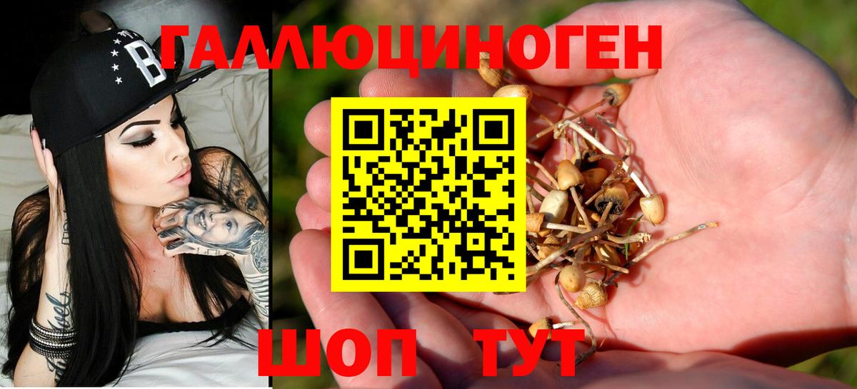 Галлюциногенные грибы мицелий Когалым